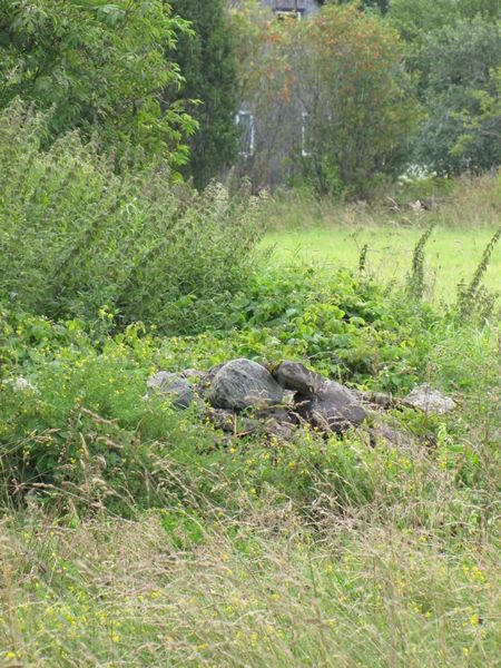 Foto: Heiki Koov, august 2012. 