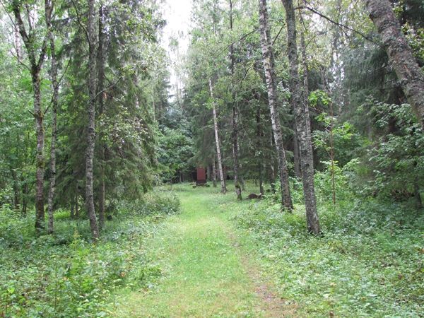 Foto. Heiki Koov, auguist 2012. 