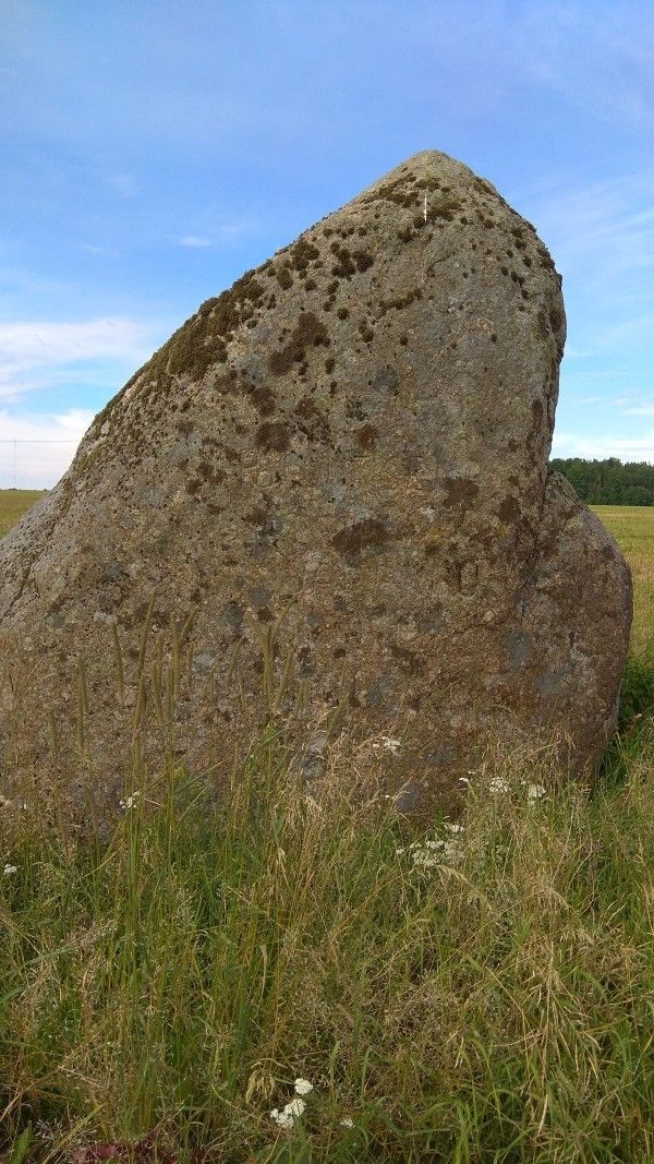 Foto: https://eelis.ee/default.aspx?state=2;-294849174;est;eelisand;;&amp;comp=objresult=parandobj&amp;obj_id=-1872712384