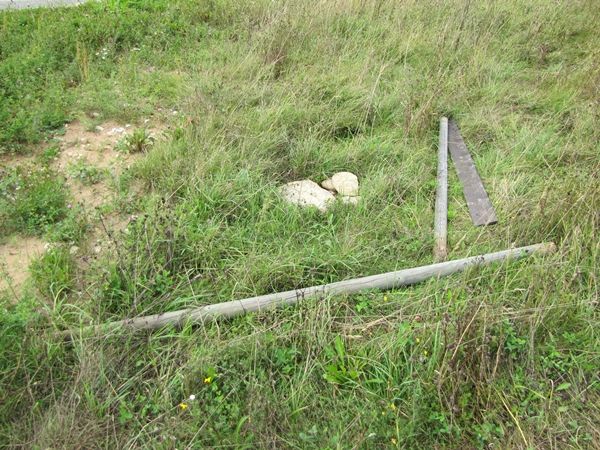 Foto: Heiki Koov, august 2010. 