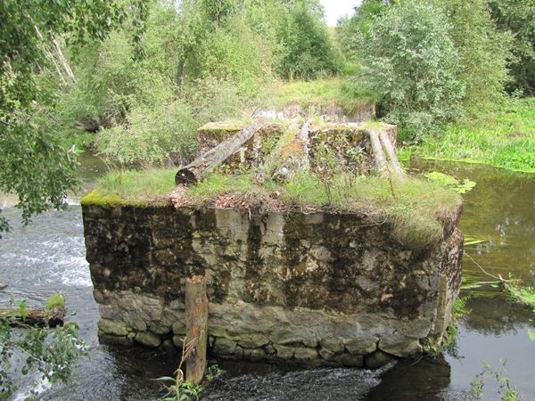 Foto: Heiki Koov, august 2010. 