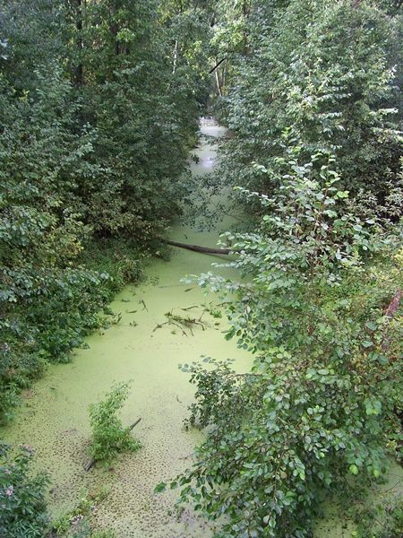 Foto: Heiki Koov, august 2007. 