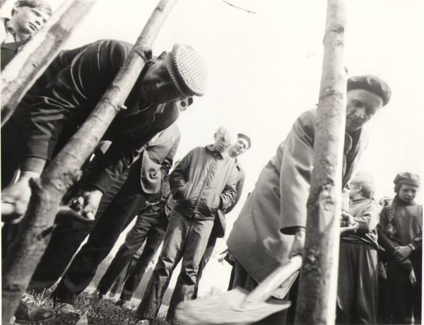 Paul Rummo ja Osvald Tooming looduskaitsepäeval puud istutamas. Jõepere, 1972., DrKM F 256:6, Dr. Fr.R. Kreutzwaldi Memoriaalmuuseum, http://www.muis.ee/museaalview/976619. 