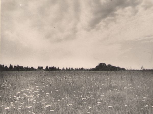 Vaade mälestusmärgi ümbrusele, 1966. DrKM F 213:4, Dr.Fr.R.Kreutzwaldi Memoriaalmuuseum, http://www.muis.ee/museaalview/972988.