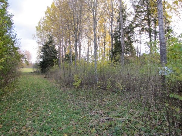 Foto: Heiki Koov, oktoober 2010. 