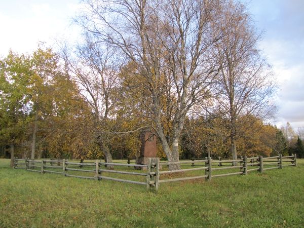 Foto: Heiki Koov, oktoober 2010. 