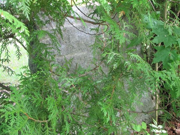 Foto: Heiki Koov, juuni 2010. 