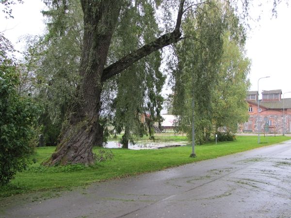 Foto: Heiki Koov, september 2010