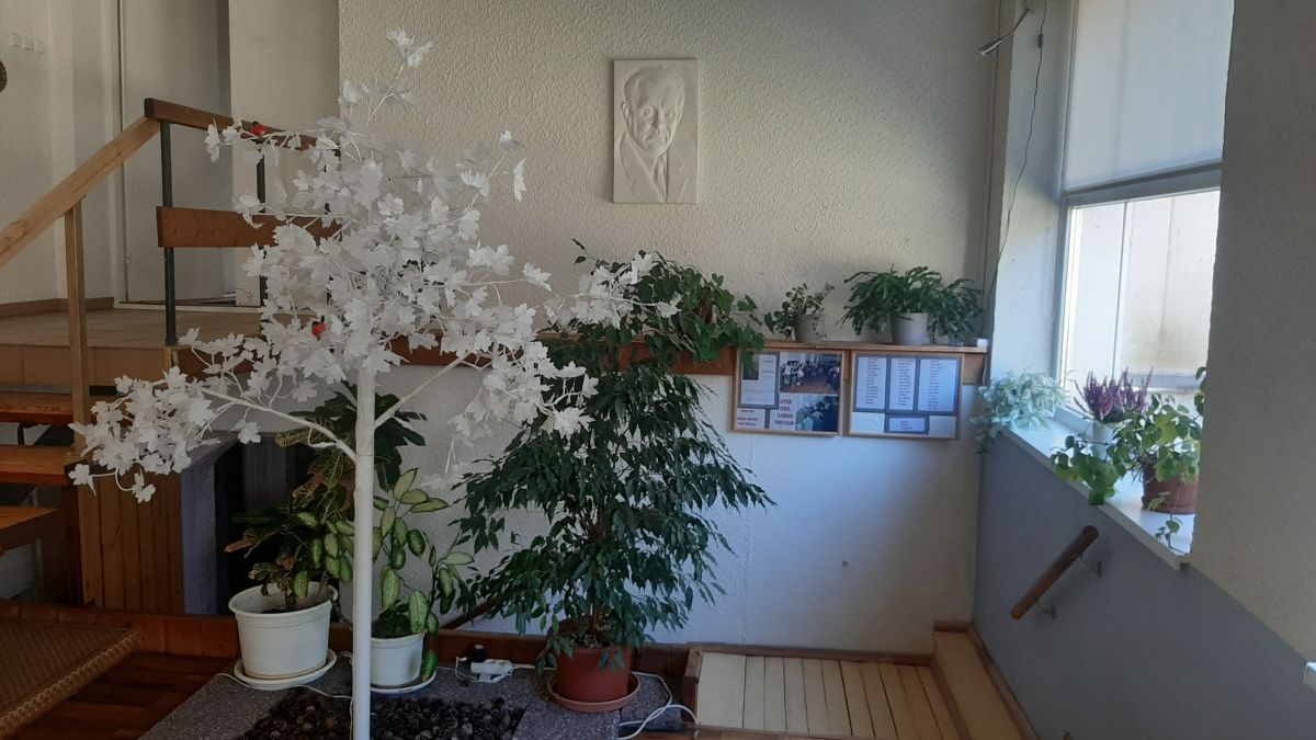 Foto: Heiki Koov, märts 2025. 