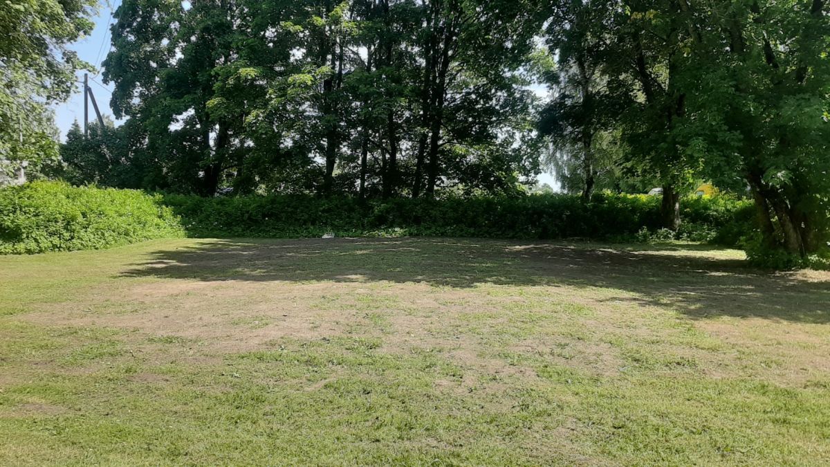 Foto: Heiki Koov, juuli 2025. 