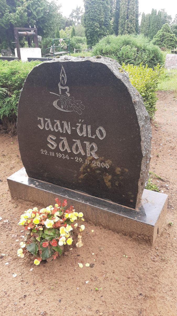 Foto: Heiki Koov, august 2025. 