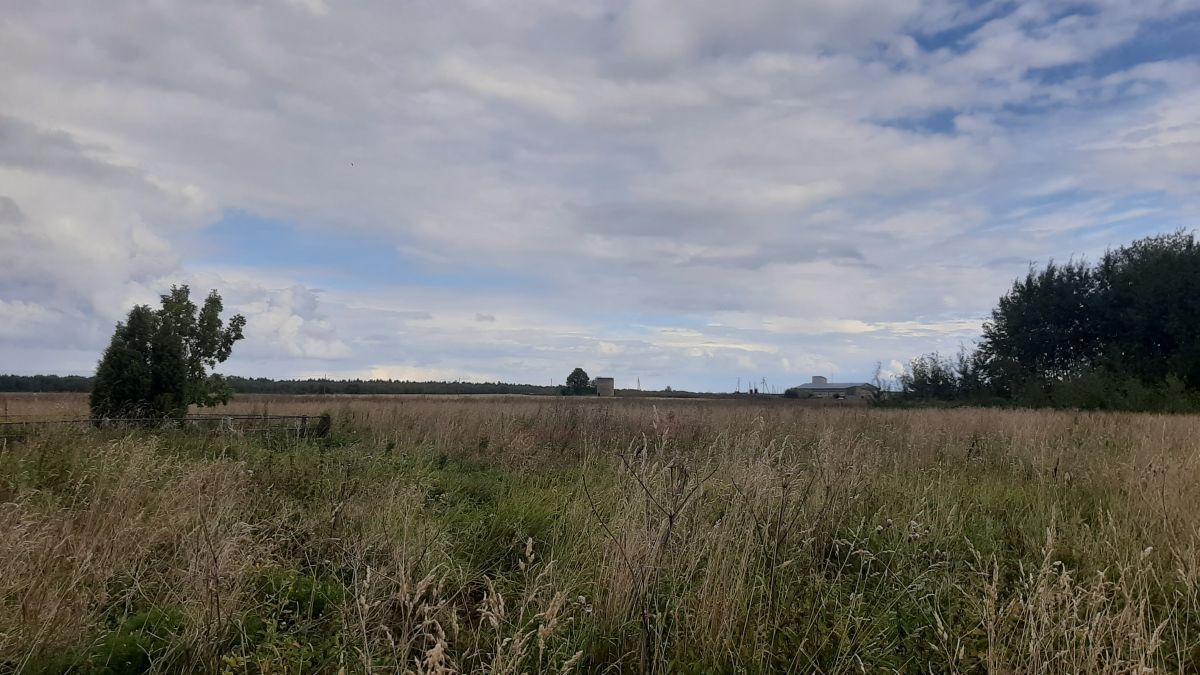 Foto: Heiki Koov, august 2025. 