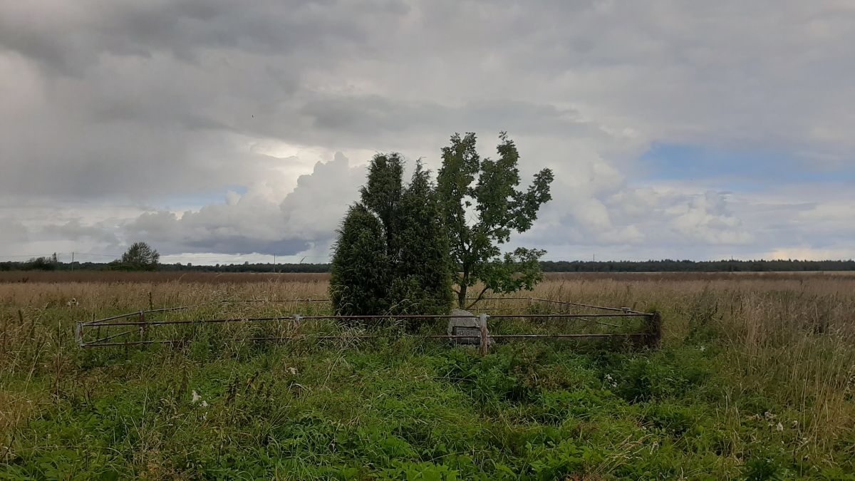 Foto: Heiki Koov, august 2025. 