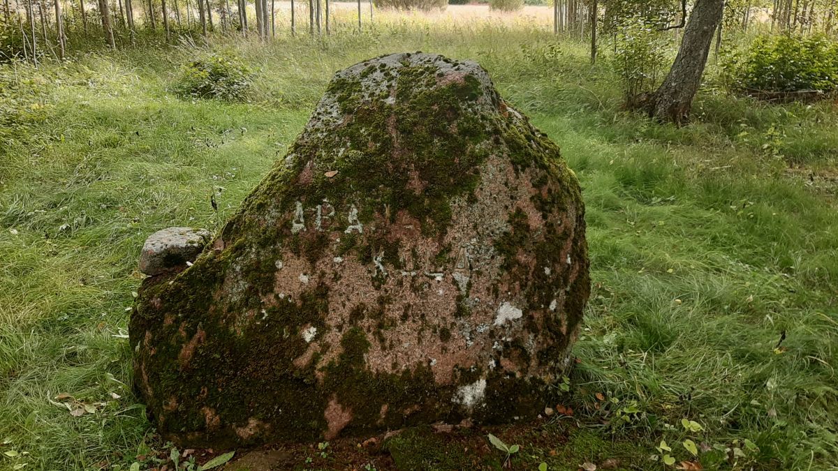 Foto: Heiki Koov, august 2025. 