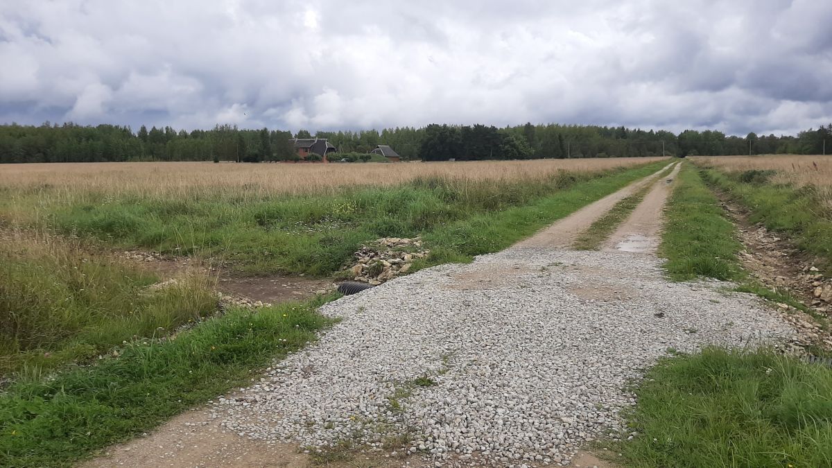 Foto: Heiki Koov, august 2025. 