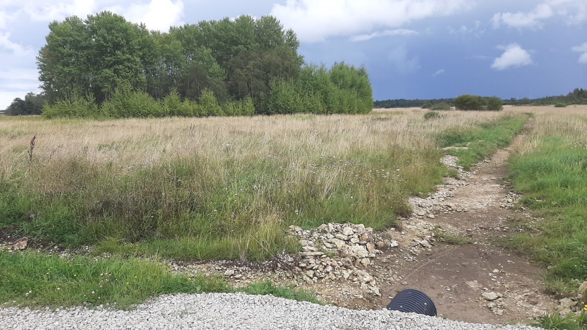 Foto: Heiki Koov, august 2025. 