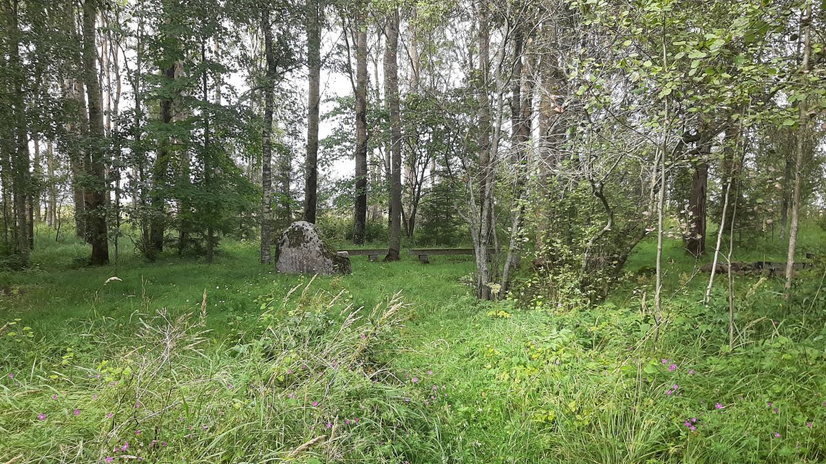 Foto: Heiki Koov, august 2025. 