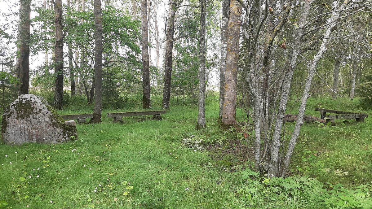 Foto: Heiki Koov, august 2025. 