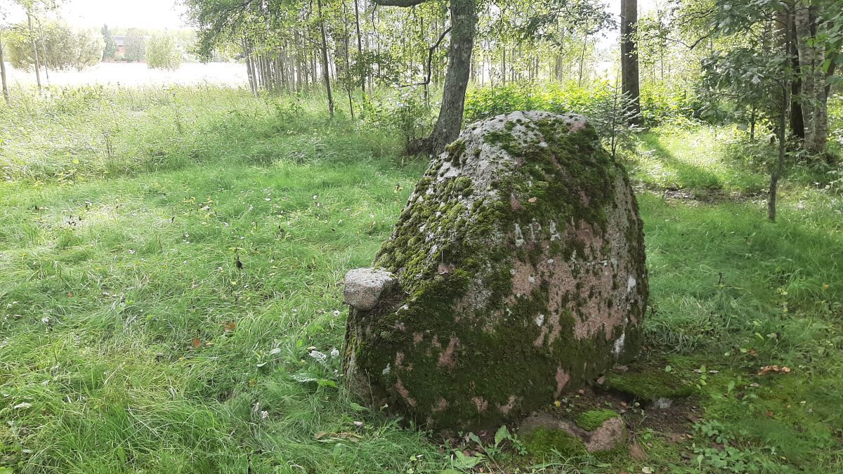 Foto: Heiki Koov, august 2025. 