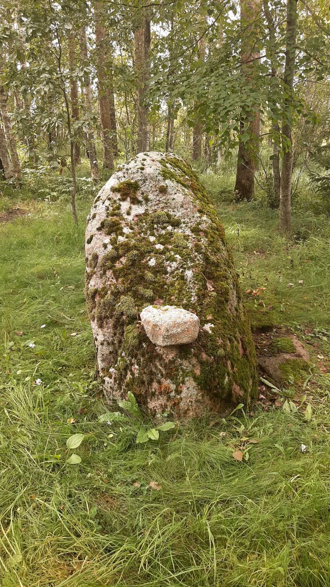 Foto: Heiki Koov, august 2025. 