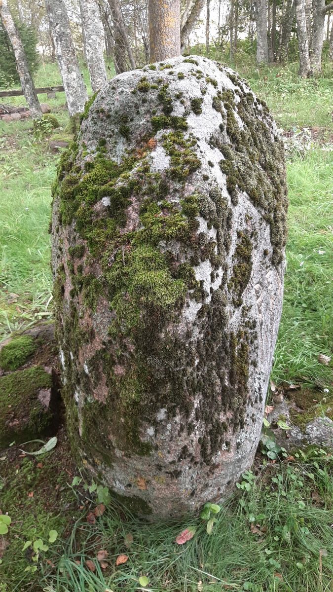 Foto: Heiki Koov, august 2025. 