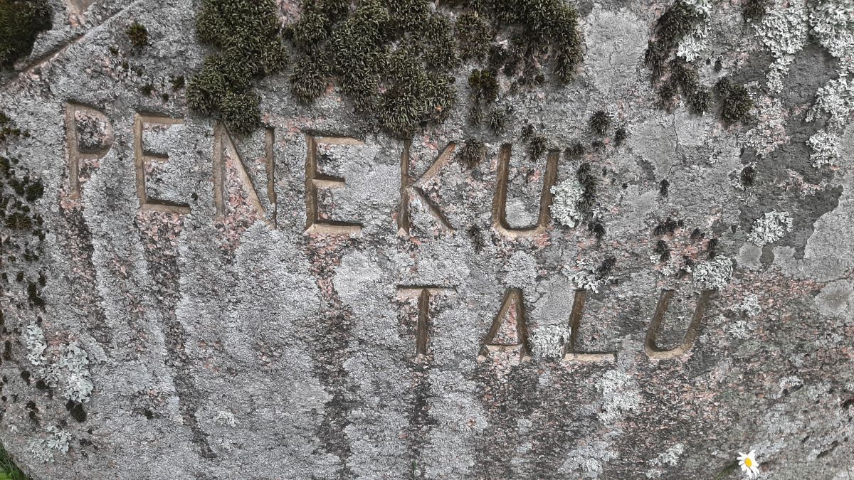 Foto: Heiki Koov, august 2025. 