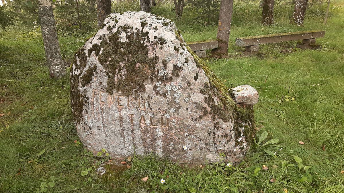 Foto: Heiki Koov, august 2025. 