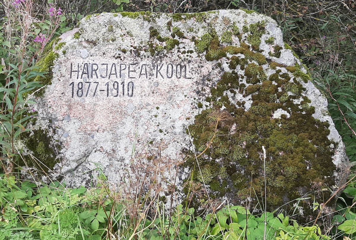 Foto: Heiki Koov, august 2025. 