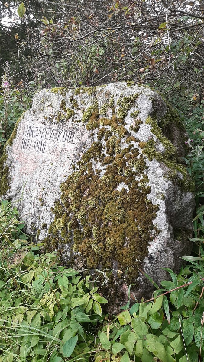 Foto: Heiki Koov, august 2025. 