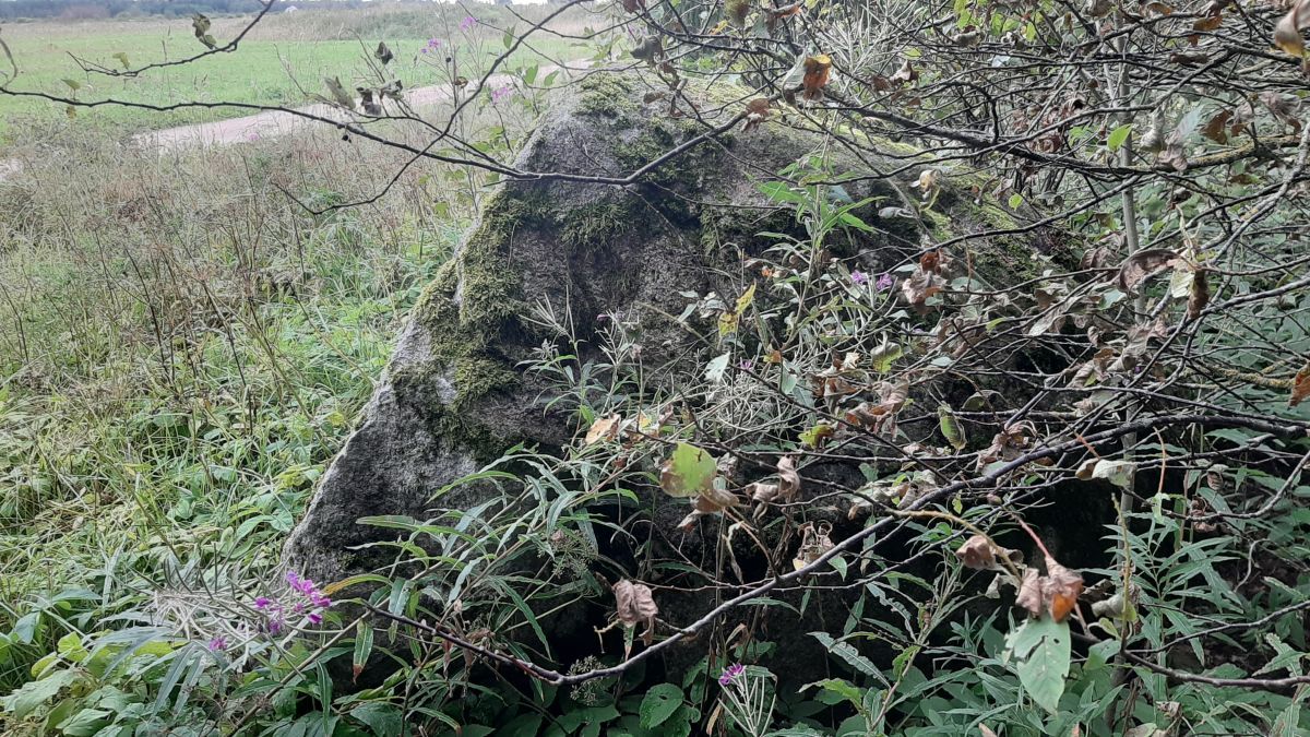 Foto: Heiki Koov, august 2025. 