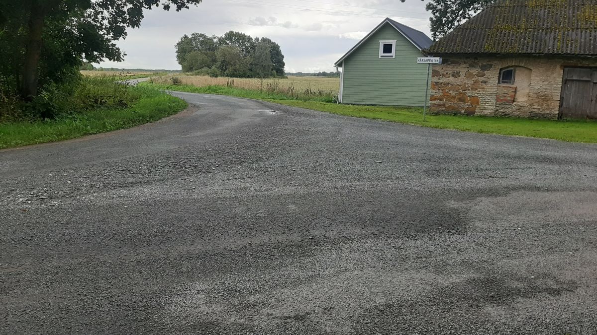 Foto: Heiki Koov, august 2025.