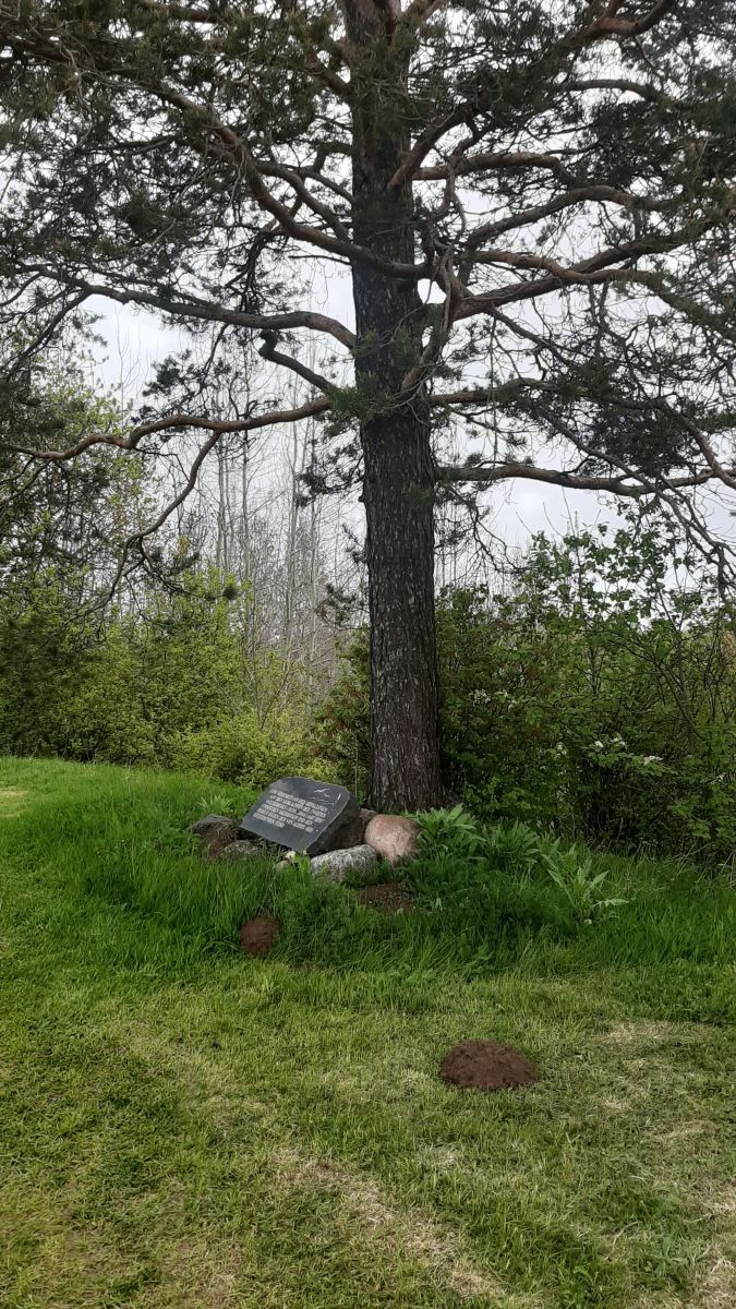 Foto: Heiki Koov, mai 2025